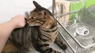 не хочу уходить со стола
