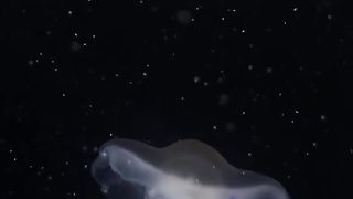 Beautiful nature
