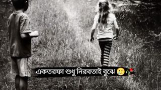 Feelings