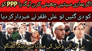 If our seats are taken away and given to PMLN or PPP...Barrister Ali Zafar warned