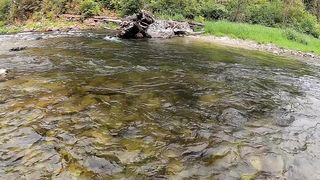 Wow, would you look at that beautiful fish.
