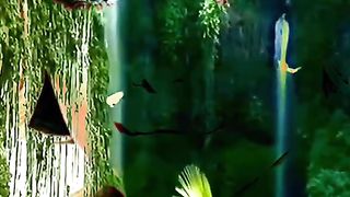 Music lover's and nature Beauty