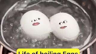 Life of boiling eggs ???? - No crack ???? not boiled ???? - #shorts