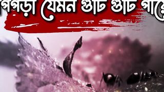 What is Shirk । Mizanur rahman azhari