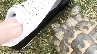 Alasan Dia Melakukan Ini Sangat Mengejutkan