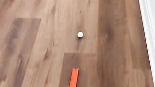 Longest trickshot