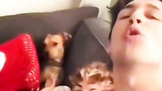 dog cute