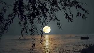 Beautiful nature video status..
