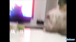 funny animals of all kinds