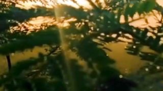 Beautiful nature