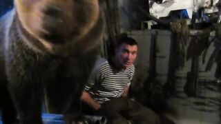 Медведь пришёл в гости к рабочим.