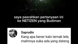 Apakah benar jika ternak lele, malam hari suka ada yang datang kekolam nemenin ikan lele ????❓Jawab NETIZEN