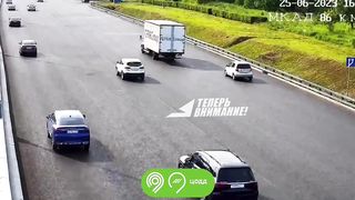 A duck crossing the road caused a massive accident
