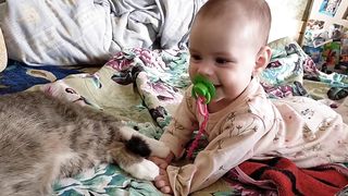 Кот сам приходит к малышу.