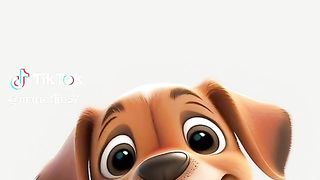 Cute puppy