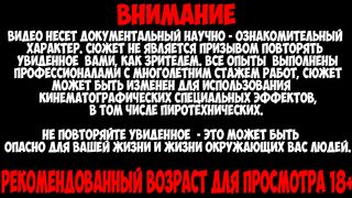 ЗВЕРСКАЯ БИТВА ТРЁХ МУРАВЬИНЫХ ЛЬВОВ И КЛЕЩА! [ЖИВОЕ КОРМЛЕНИЕ].
