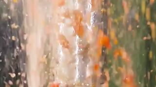 Watermelon vs 150 ton Hydraulic Press
