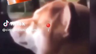Mood touching sound