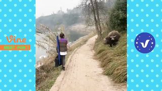 Fun Videos for Laugh - Part 304