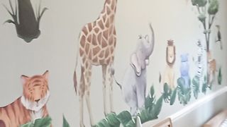 Ddiondecor Ltd