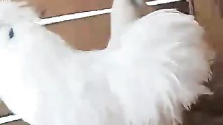 Why are you upset