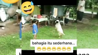 Smart goats and cute ninja turtles