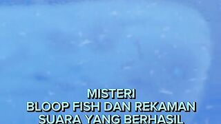 Misteri Bloop Fish Ikan Raksasa Penuh Misteri