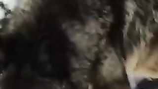 Foxes trapped by blood on knife