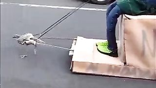 TikTok Video 90