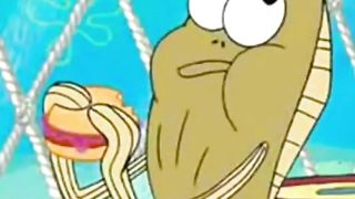 Jelly fish Jelly !!!