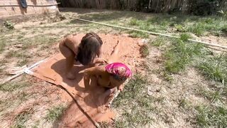 Challenge accepted game part 04#challenge #vlog #viral