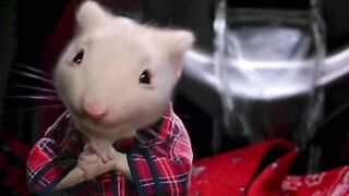 New funny cartoon best fun 2024