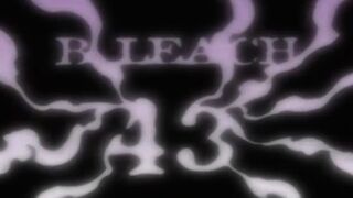 Bleach Episode 43
