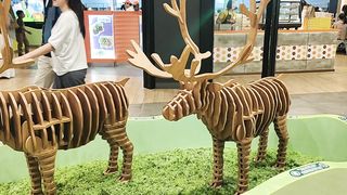 Great!!! Animal Woodcraft so Awesome