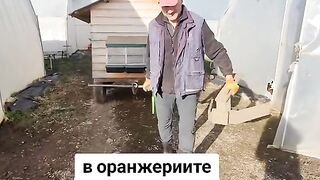 БЛИЗКАТА  ФЕРМА