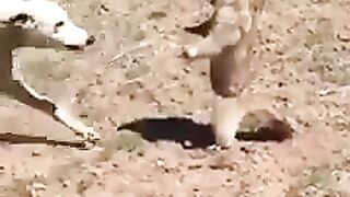 Jab koi irada karle to use koi Nahin hara Sakta