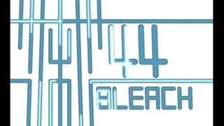 Bleach Episode 44