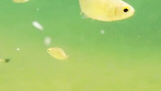 Beautiful nature