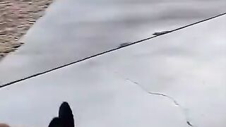 Hilarious dog ????