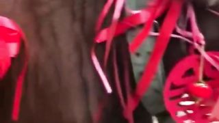 Best Funny Animal Videos 2024 Part 15