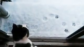 Любовь - это принимать ванну вместе!