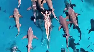 Nurse sharks are generally harmless to humans