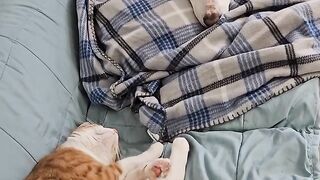 Удивительно приятное знакомство