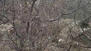 ????????????????????