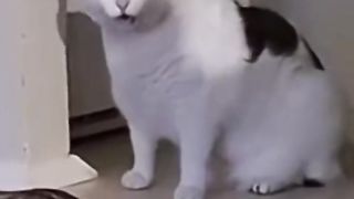 funny xDDD