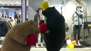 fight of the century)))) xDD