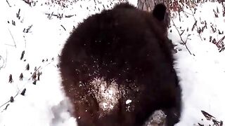 Одна порхает как бабочка, другой сидит как Буржуй.