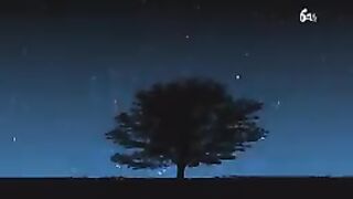 শ্রেষ্ঠ মানুষেরা - [পর্ব ১১]