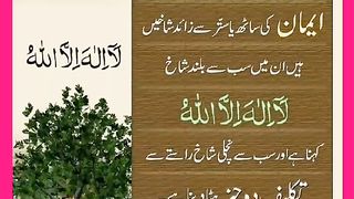 شرعی مسائل اور ان کا حل