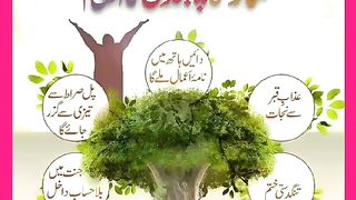 شرعی مسائل اور ان کا حل